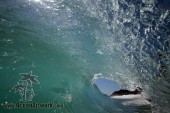 IMG_9617