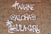 Hawaiian Signs