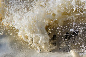 foamies in the shore break